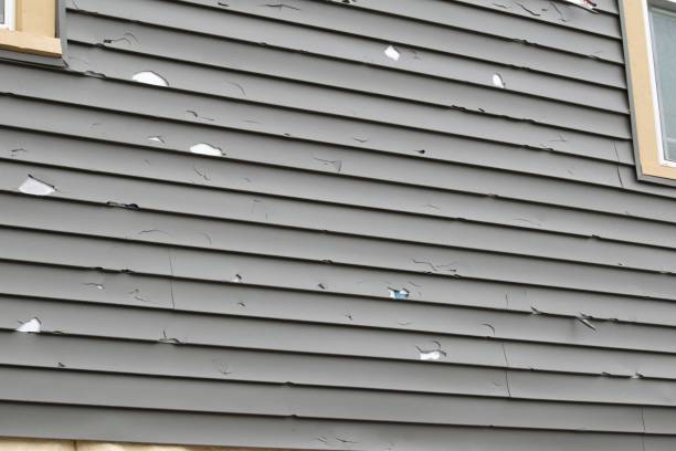 Best Aluminum Siding Installation  in Diberville, MS
